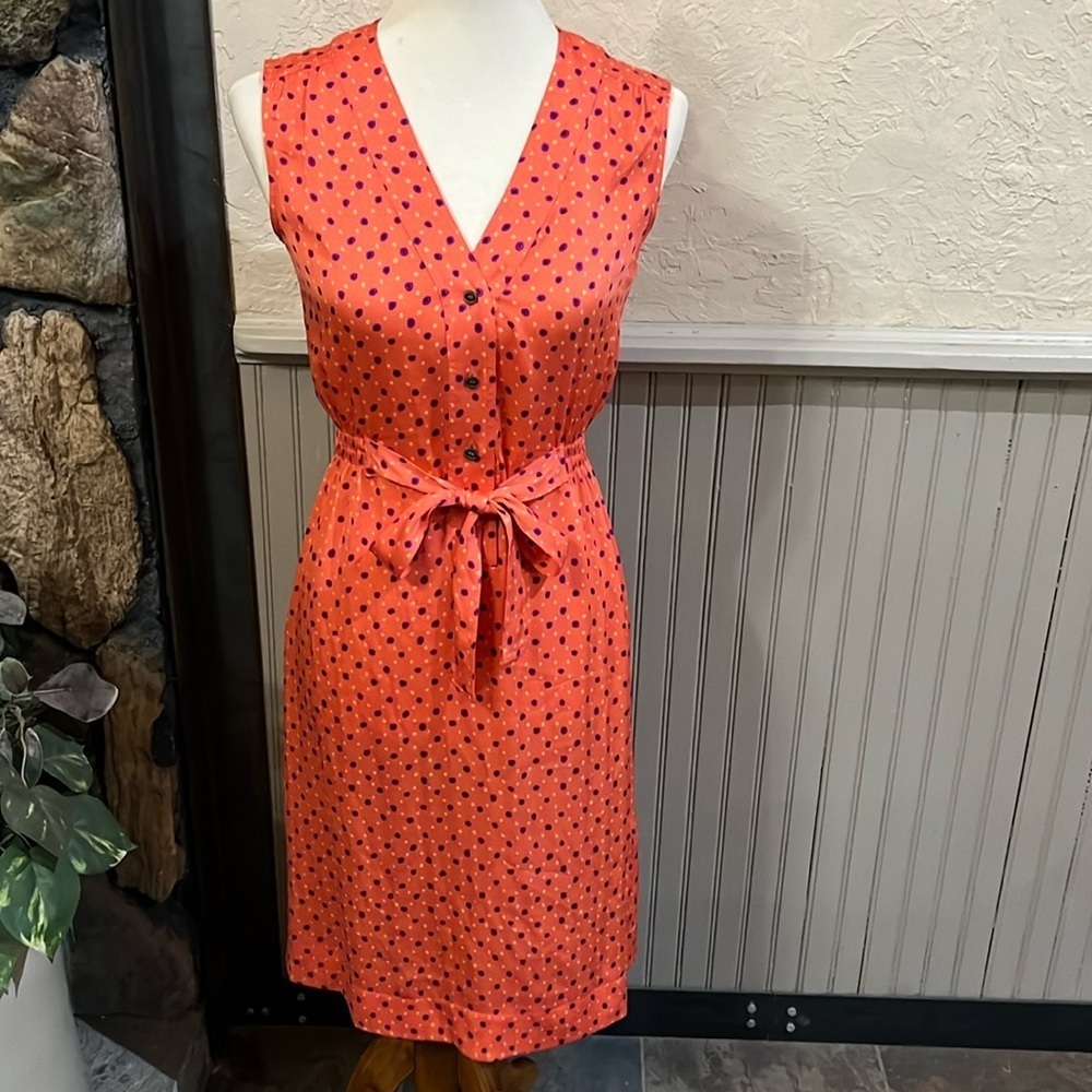 Fossil Dress